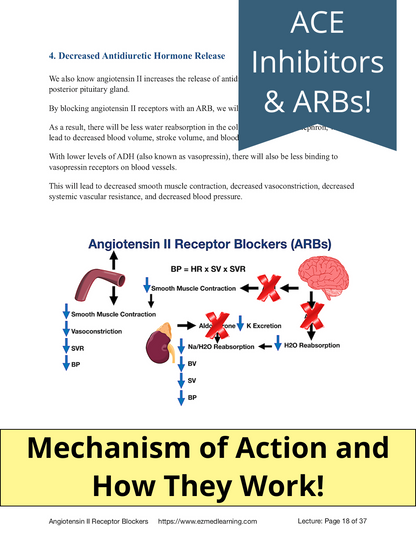 ACE Inhibitors vs ARBs [PDF Lecture]