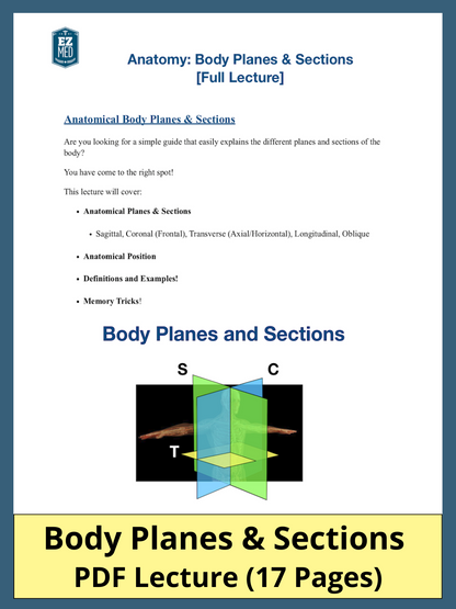 Anatomy: Body Planes and Sections [PDF Lecture]