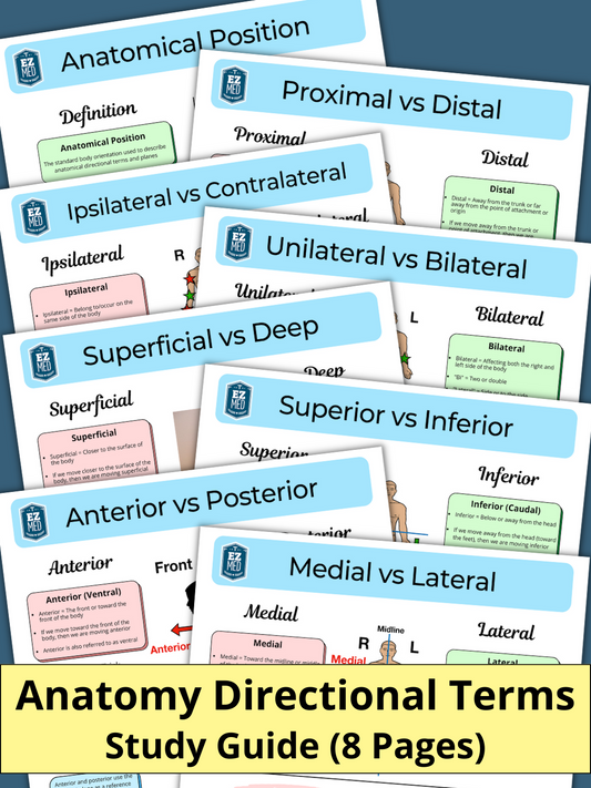 Anatomy Directional Terms [Study Guide]