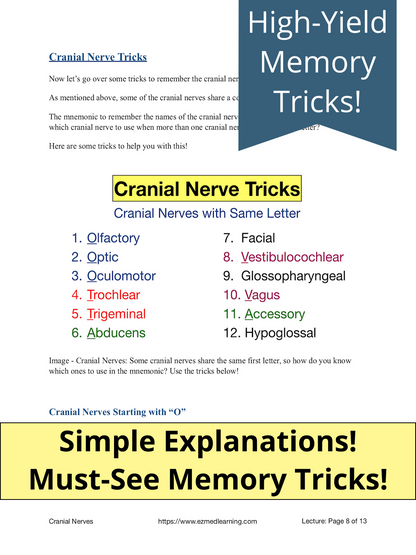 cranial nerves list