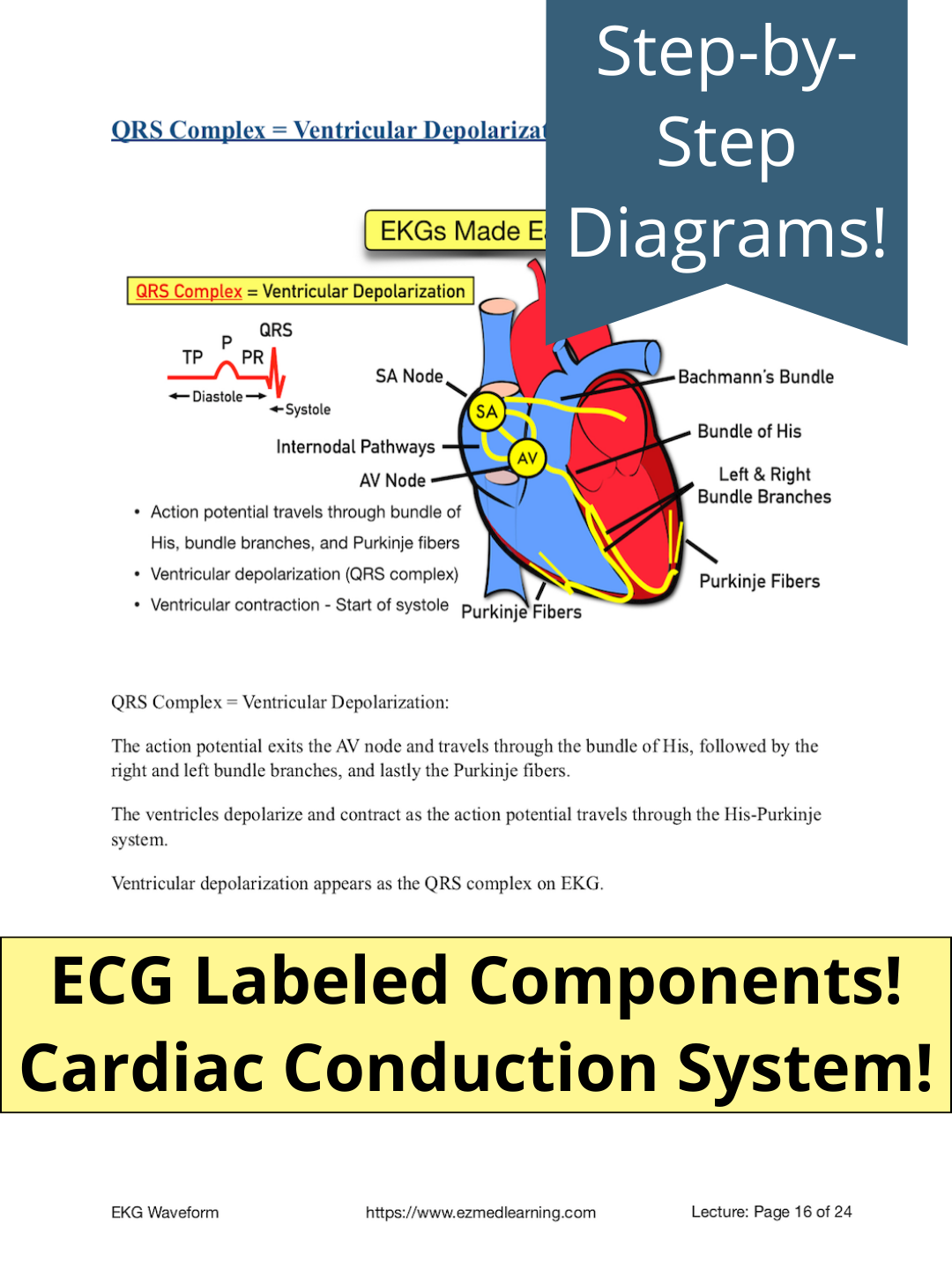 ECG Waveform Explained [PDF Lecture] – EZmed