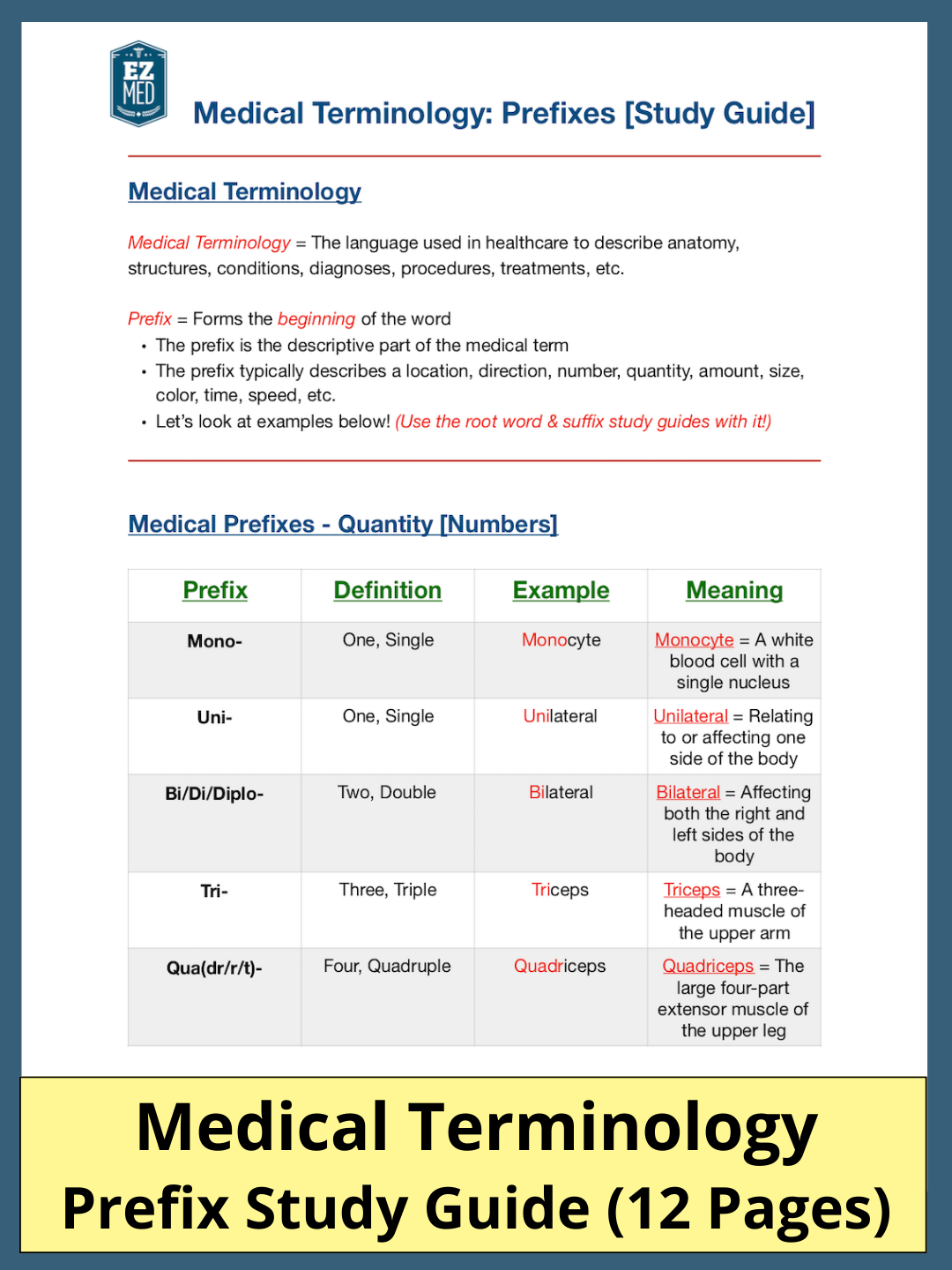 Prefixes: Medical Terminology [Study Guide]