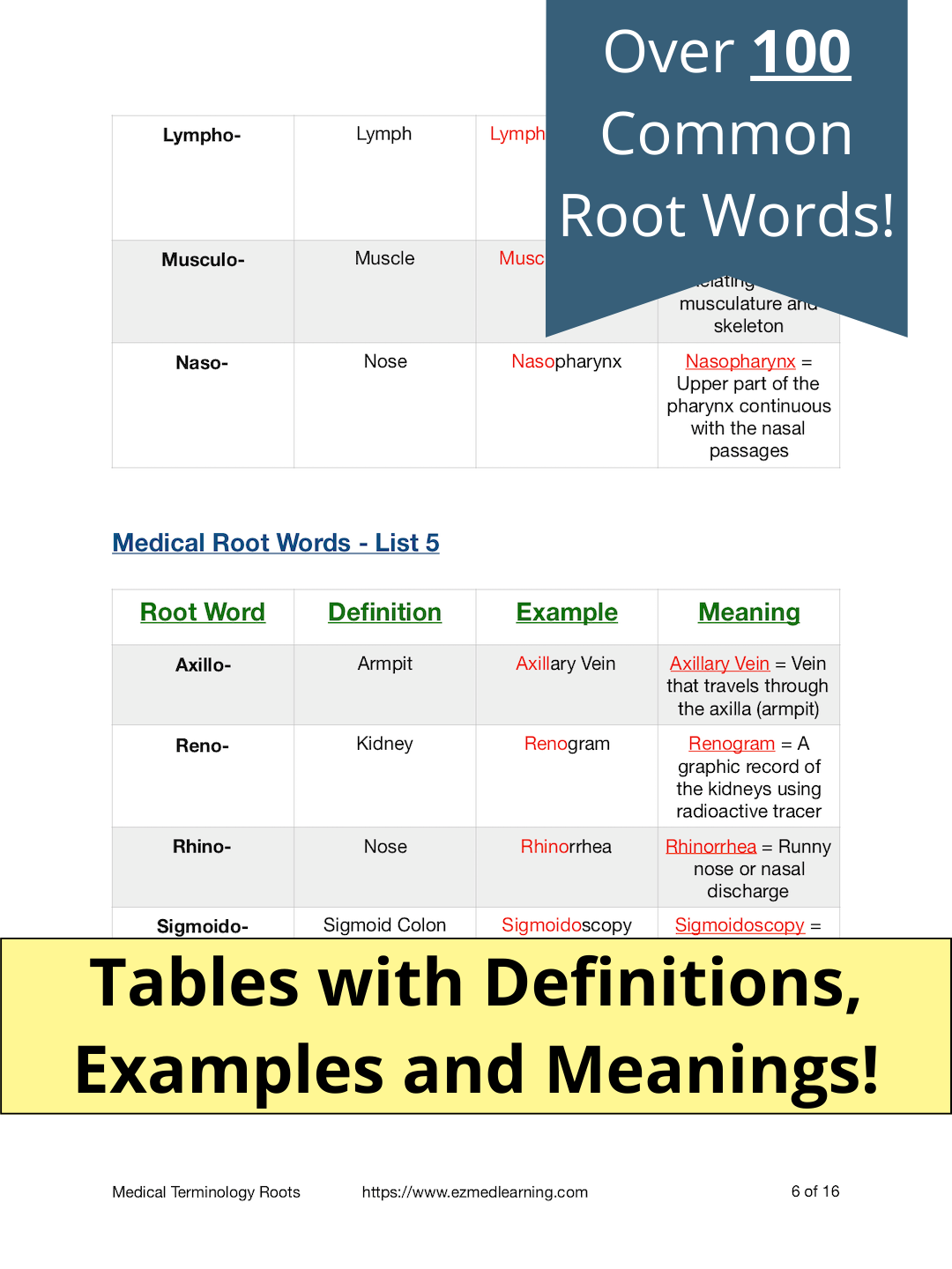 Root Words: Medical Terminology [Study Guide]