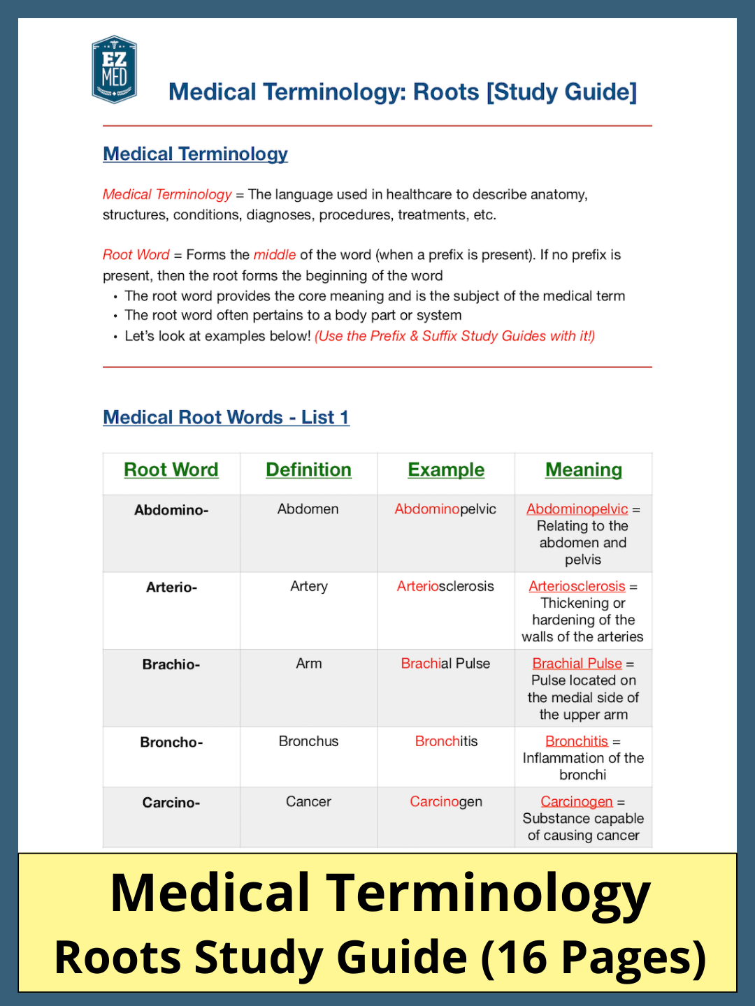 Root Words: Medical Terminology [Study Guide]