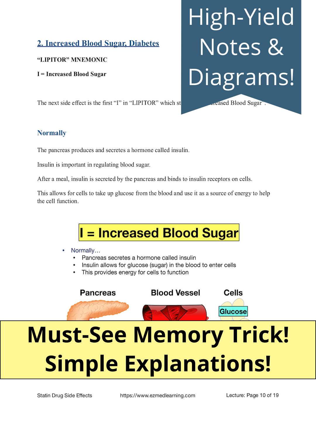 Statin Drug Side Effects [PDF Lecture]