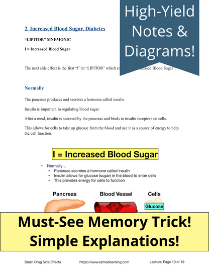 Statin Drug Side Effects [PDF Lecture]